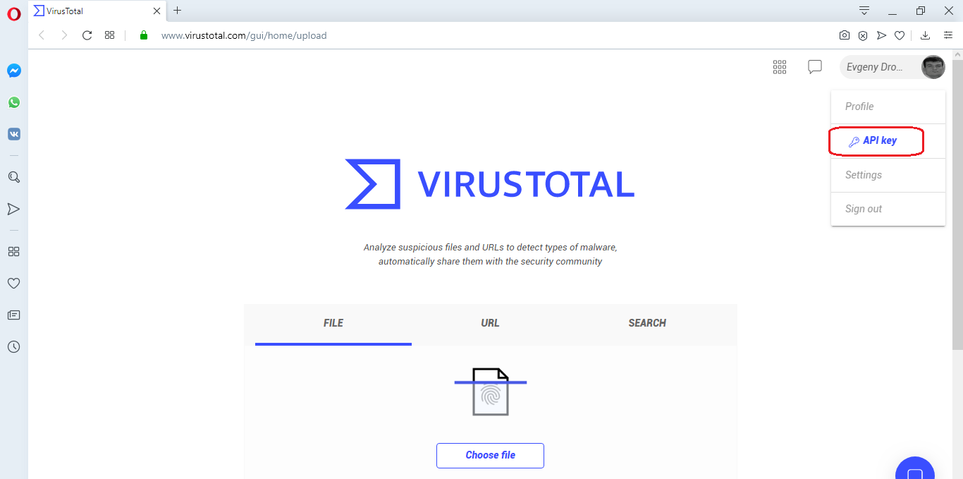 Вот здесь лежит ключ доступа к API VirusTotal