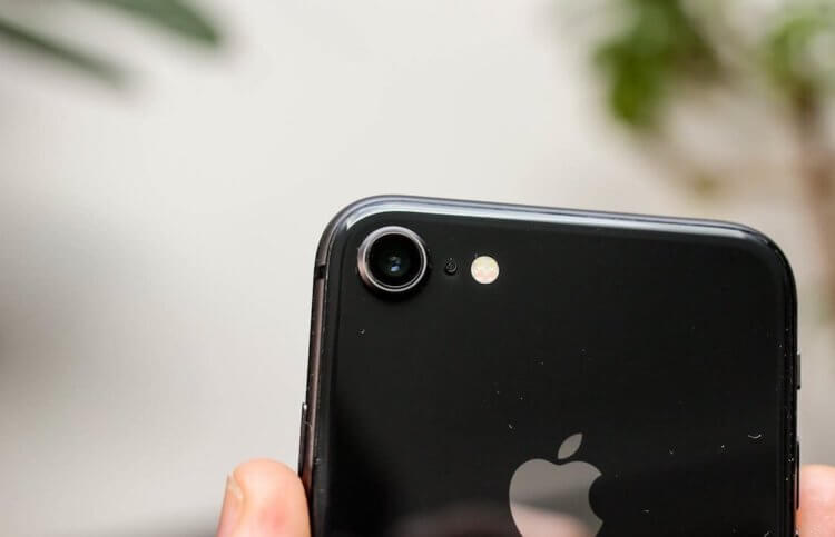 Читатели AppleInsider.ru рассказали, собираются ли покупать iPhone 9