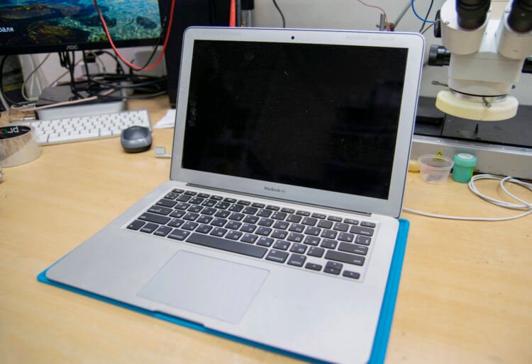 Что нужно делать, если в MacBook попала вода