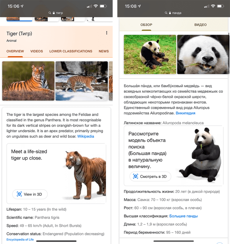 Развлечение на карантине: смотрим 3D животных в Google на iPhone