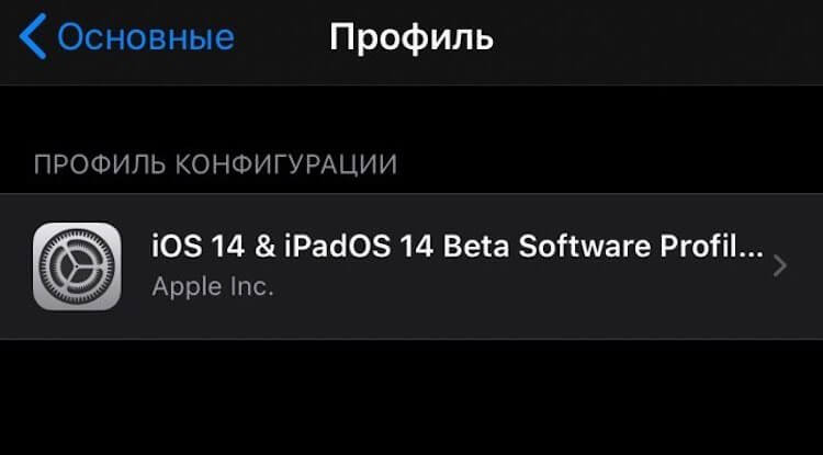 Как установить iOS 14 без профиля разработчика