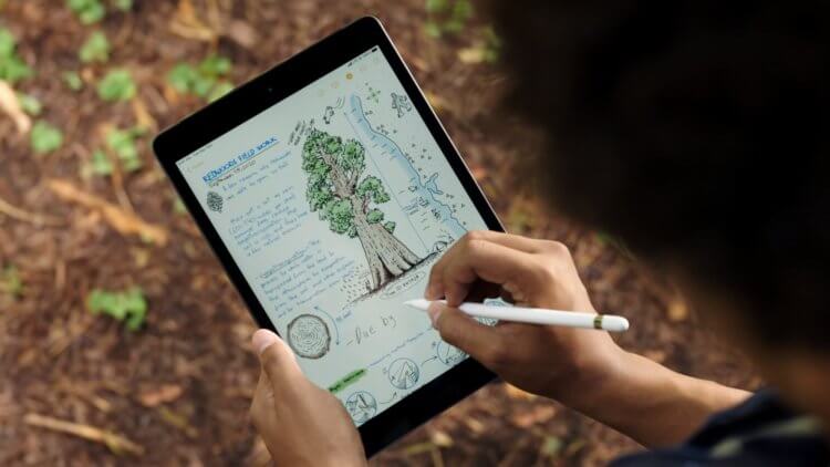 Apple представила самый доступный iPad 8 с экраном 10,2 дюйма