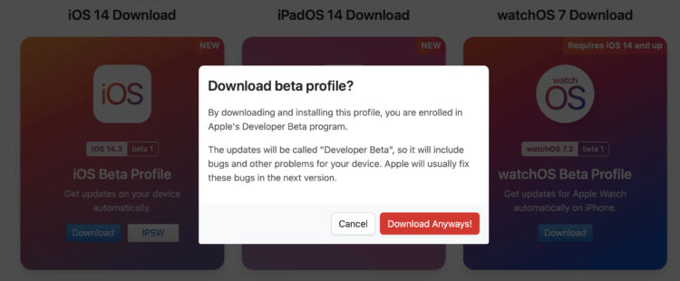 Apple выпустила iOS 14.3 beta 1 с форматом ProRaw. Как установить
